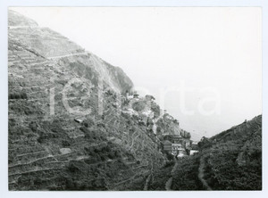 Fotografia d epoca originale 1981 CINQUE TERRE Panorama di RIOMAGGIORE Foto 17x13 cm 1