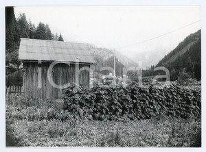 Fotografia d epoca originale 1982 CAPRILE BL Panorama del paese  Foto 17x13 cm 1