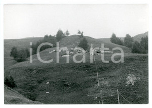 Fotografia d epoca originale 1981 CASTELMAGNO Frazione Chiappi  Mandria di mucche  Foto 17x13 cm 1