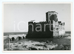 Fotografia d epoca originale 1972 NETTUNO Panorama con TORRE ASTURA Foto 17x13 cm 1