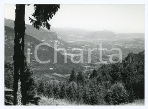 Fotografia d epoca originale 1982 TRENTINO ALTO ADIGE Vista sulla VAL DI NON Foto 17x13 cm 1
