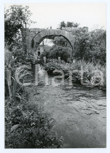 Fotografia d epoca originale 1980 AQUINO FR Arco di Marcantonio  Foto 13x17 cm 1