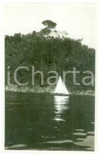 Fotografia d epoca originale 1930 PORTOFINO Veduta della baia con barca a vela Foto cartolina VINTAGE 1