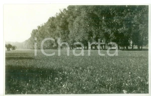 Fotografia d epoca originale 1931 FRANCAVILLA BISIO AL Veduta di un paesaggio agreste  Foto cartolina 1