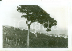 Fotografia d epoca originale 1931 GENOVA PEGLI Veduta di un paesaggio marittimo Fotografia ARTISTICA 1