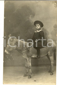 Fotografia d epoca originale 1920 ca VERONA Ritratto di bambina su un pony Foto cartolina Giulio DE BIANCHI 1