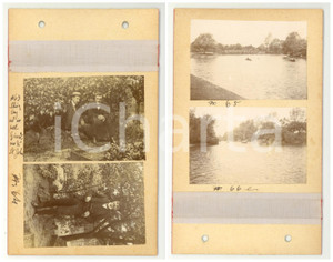 Fotografia d epoca originale 1900 LONDON Borghesi in giardino  FINSBURY PARK Vedute  Lotto 4 foto 1