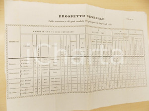 Documento originale, autentico 1830 ca POLIZIA MEDICA Prospetto mammane e parti nel principato di SPEYER Tavola 1
