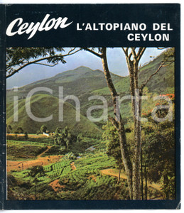 Materiale pubblicitario d’epoca 1970 ca L ALTOPIANO DEL CEYLON Opuscolo ILLUSTRATO a colori  20x23 cm 1