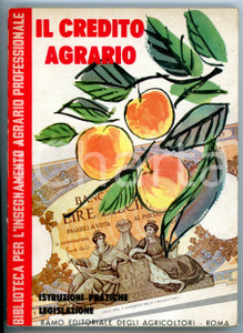 Libro, pubblicazione d epoca 1963 IL CREDITO AGRARIO Istruzioni pratiche  Legislazione Pubblicazione 1