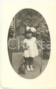 Fotografia d epoca originale 1934 s. l. ITALIA Ritratto di bambina con cagnolino di pezza  Foto VINTAGE 8x14 1