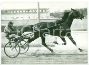 1957 BOLOGNA Allenamento di CREVALCORE per Gran Premio Continentale *Foto