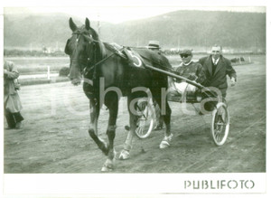 1958 IPPODROMO DI AGNANO Corsa dei milioni - Cavallo TORNESE vincitore *Foto