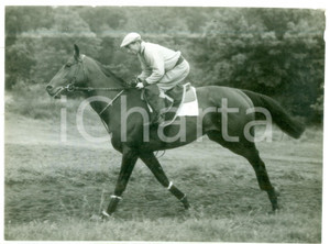 1956 EPSOM Training for the DERBY - William Raphael JOHNSTONE riding LAVANDIN