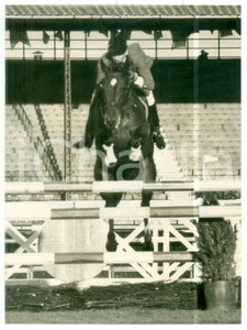 1956 LONDON International Horse Show - Jump of italian horse LORENZO DE' MEDICI