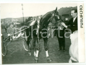 1957 NAPOLI Gran Premio di AGNANO - Il vincitore TORNESE con Mario SANTI *Foto
