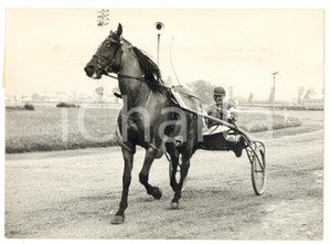 1954 TORINO Gran Premio SIP - ZIBELLINO trionfa all'ippodromo Mirafiori *Foto