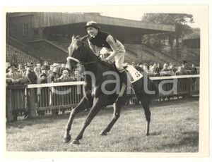1955 NEWMARKET Town Plate - Valda ROGERSON winning the race on VULPES *Photo