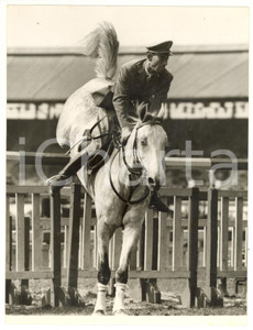 1955 LONDON International Horse Show - Luigi CARTASEGNA jumping on BRANDO *Photo