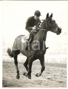 1956 AINTREE - BORDER LUCK entry for the Grand National ridden by Stan MELLOR