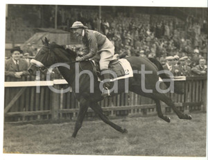 1954 NEWMARKET Town Plate - Ann WAUGH winning the competition on LE MOUSAILLON