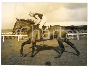 1957 HORSE RACING - Training of THE CROFTER ridden by P. FITZGERALD *Photo