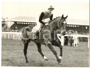 1957 AINTREE - GO WELL trained by Alan LILLINGTON for Grand National *Photo