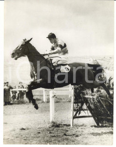 1958 HORSE RACING - TOP TWENTY Irish entry for the Grand National *Photo