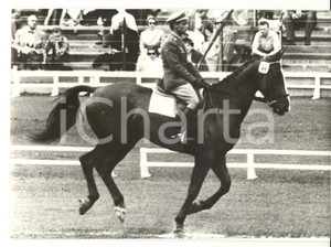 1956 STOCCOLMA Olimpiadi equestri - Il fantino italiano Giancarlo GUTIERREZ