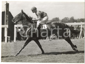 1958 HORSE RACING - Training of PINCHED ridden by Lester PIGGOTT *Photo 20x15