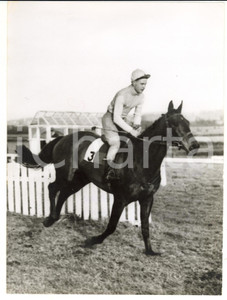 1959 IRELAND - RICHARDSTOWN trained by J. NEVILLE *Photo 15x20 cm