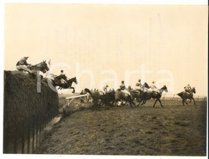 1955 AINTREE Grand National - A jockey falling amid the tangle of hoofs *Photo