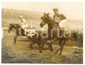 1958 AINTREE GRAND NATIONAL Tim BROOKSHAW on PIPPYKIN falling at the water jump