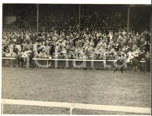 1953 NEWMARKET 2000 Guineas - Edgar BRITT on NEARULA winning with a great margin