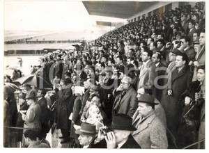 1956 ROMA Gran Premio Siepi - La folla guarda la corsa *Foto 18x13