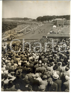 1955 NEWMARKET Craven Stakes - Runners coming up the hill after the finish PHOTO