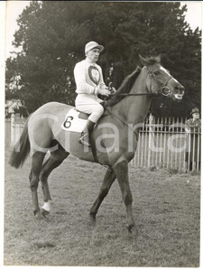 1959 HORSE RACING Paddy SHORTT riding BELSIZE II during a training *Photo 20x15