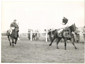 1959 AINTREE Grand National - Michael SCUDAMORE on OXO *Photo 20x15