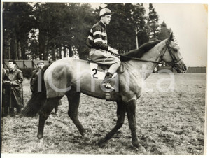 1957 HORSE RACING Tosse TAAFFE riding VIRGINIUS during training *Photo 20x15