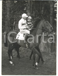 1959 HORSE RACING Grand National entry TOP TWENTY during an outing *Photo
