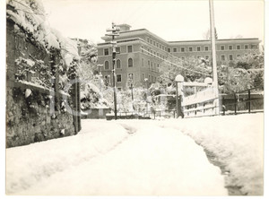 1956 GENOVA Strada innevata in periferia *Foto VINTAGE 24x18 cm