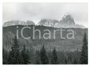 Fotografia d epoca originale 1979 CIMON DELLA PALA Pale di San Martino  Panorama  Foto 18x13 cm 1