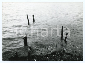 1977 LAGO DI LEDRO Resti di palafitte a MOLINA DI LEDRO - Foto 18x13 cm (1) Fotografia d'epoca con didascalia manoscritta al verso.  FAIR/discreto Lievi smussature agli angoli Formato: 18x13 cm originale e autentica 1