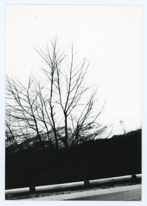 Fotografia d epoca originale 1979 RIETI Massiccio del Terminillo  Campoforogna  Foto 13x18 cm 2 1
