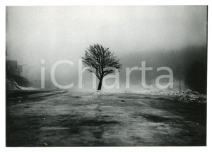 1979 RIETI Massiccio del Terminillo - Campoforogna - Foto 18x13 cm (1) Fotografia d'epoca con didascalia manoscritta al verso.  FAIR/discreto Lievi smussature agli angoli Formato: 18x13 cm originale e autentica 1