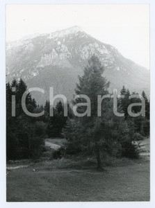 1982 FOLGARIA Frazione di VIRTI (TN) Panorama montano - Foto 13x18 cm Fotografia d'epoca con didascalia manoscritta al verso.  FAIR/discreto Lievi smussature agli angoli, lievi difetti di stampa Formato: 13x18 cm originale e autentica 1