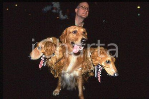 GREENWICH VILLAGE HALLOWEEN PARADE - Costumes 1997 * 35 mm vintage slide 9