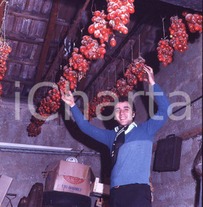 6X6cm NEGATIVO ORIGINALE * 1970ca MINO REITANO (28)