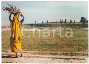 Materiale cinematografico d’epoca 2000 UTTARA Donna con fascio di sterpi  Film di Buddhadev DASGUPTA Foto 17x12 1