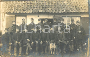Fotografia d epoca originale 1915 WW1 FRANCE Foto di gruppo soldati di fanteria in posa con il cane FP 1